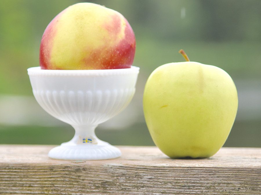 Fruit